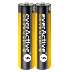 Baterija everActive Industrial Alkaline LR06 AA (2 vnt.) BATERIJALR6/EA40