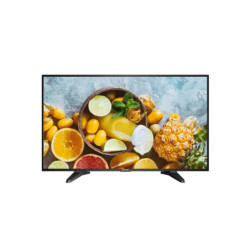 Hikvision SP 43" monitorius DS-D5043QE M43DSD5043QE