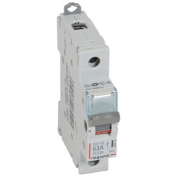 Kirtiklis DX-IS Legrand 406412 LKIRTIKLIS1P63A