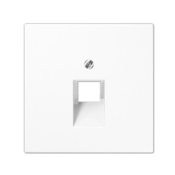Kompiuterinio lizdo apdaila JUNG LS969-1UAWW (balta, 1xRJ45) JUNGLS9691UAWW