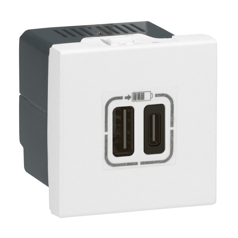 USB + USB C pakrovėjas Mosaic Legrand 077592 (5V, 3A, 15W) LMOSAICUSBC