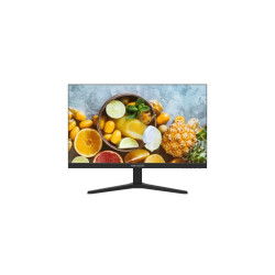Hikvision SP monitorius 24" DS-D5024F2-1P2 M24DSD5024F21P2