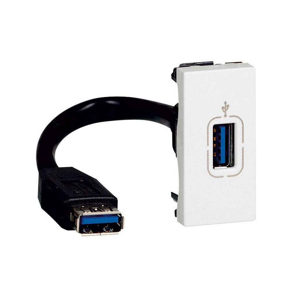 USB A duomenų lizdas Legrand Mosaic 078746 L078746