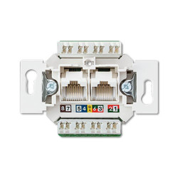 Kompiuterinis lizdas JUNG EPUAE8-8UPOK6US (CAT 6, 2xRJ45) JUNGEPUAE88UPOK6US